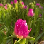 別荘 Azuromarin ガッサン