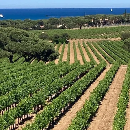 Dom wakacyjny Azuromarin *