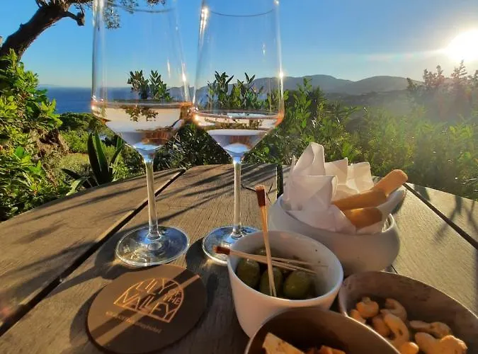 Holiday home Azuromarin Gassin